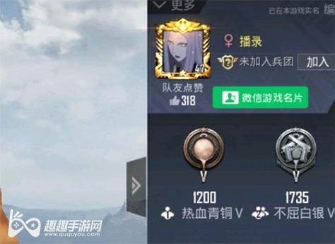 使用和平精英辅助封号吗？