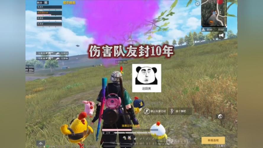 和平精英辅助:辅助软件的辩证视角与游戏公平